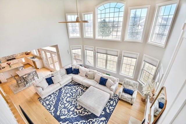 living area with a high ceiling, wood finished floors, and a wealth of natural light