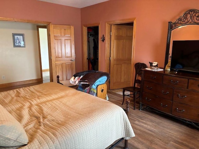 bedroom featuring a closet, wood finished floors, and a spacious closet