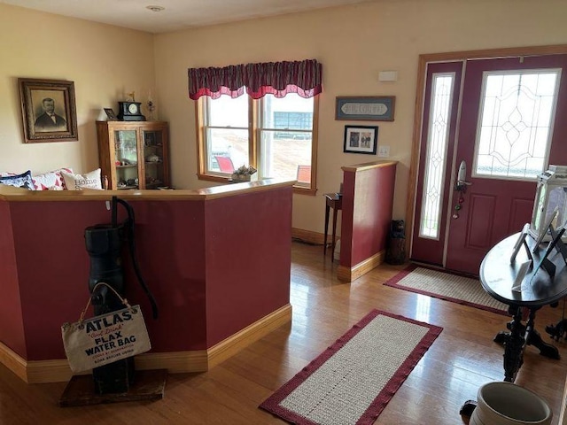 foyer entrance with wood finished floors, baseboards, and a wealth of natural light