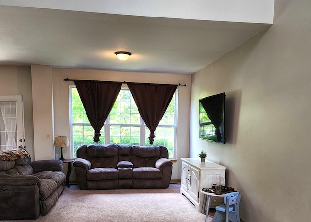 119 Oak Knoll Ct, Volo, IL 60020 - carpeted living area featuring plenty of natural light