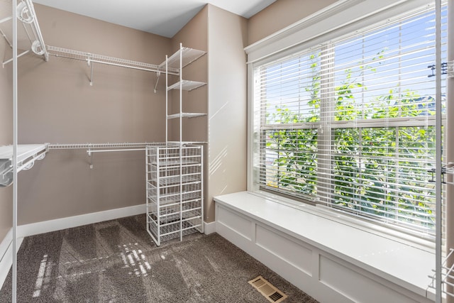 1101 Cascade Dr, Savoy, IL 61874 - spacious closet featuring dark colored carpet