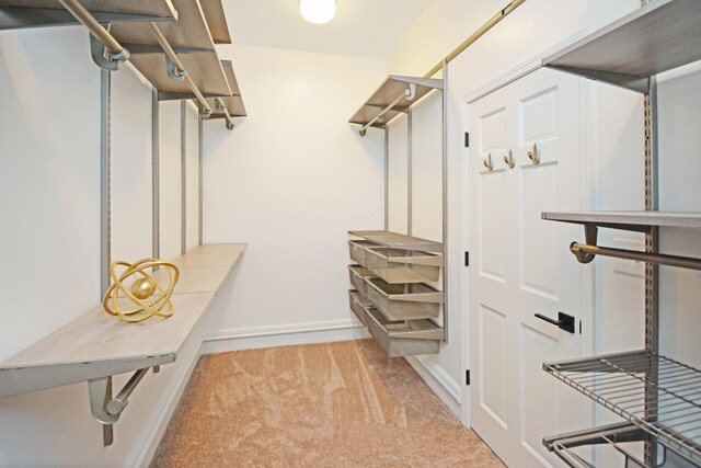 1005 Hovey Ave, Normal, IL 61761 - walk in closet with carpet floors