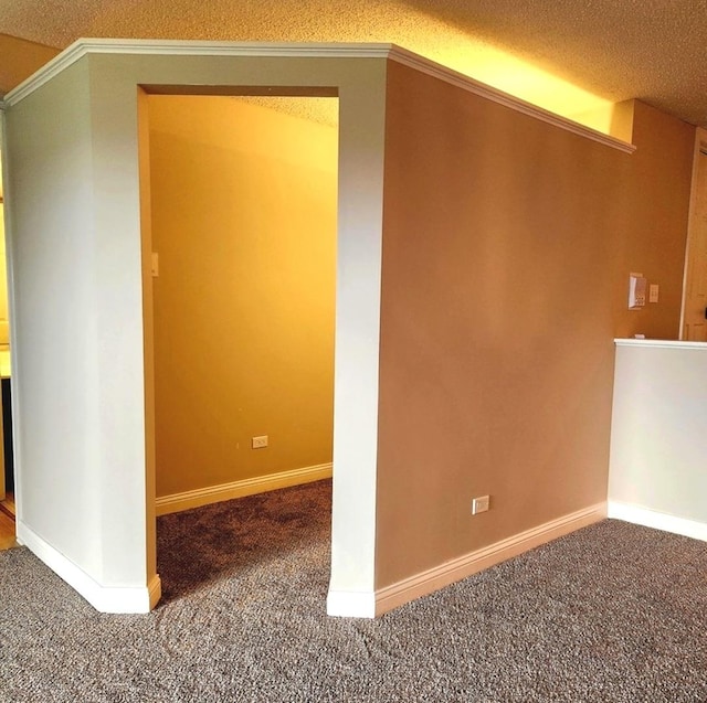 bonus room with carpet floors, a textured ceiling, and baseboards