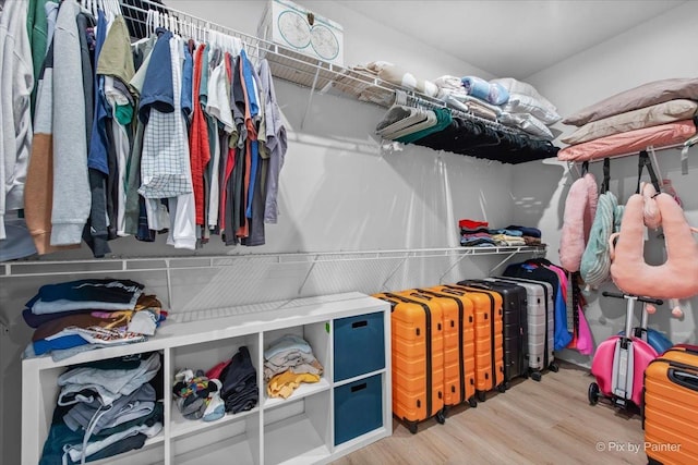 spacious closet with wood finished floors