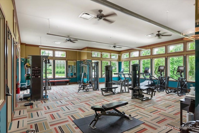 exercise room featuring crown molding, carpet floors, visible vents, and a ceiling fan