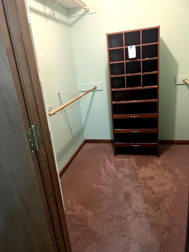 1231 Anthony Ln, Sandwich, IL 60548 - spacious closet with carpet floors
