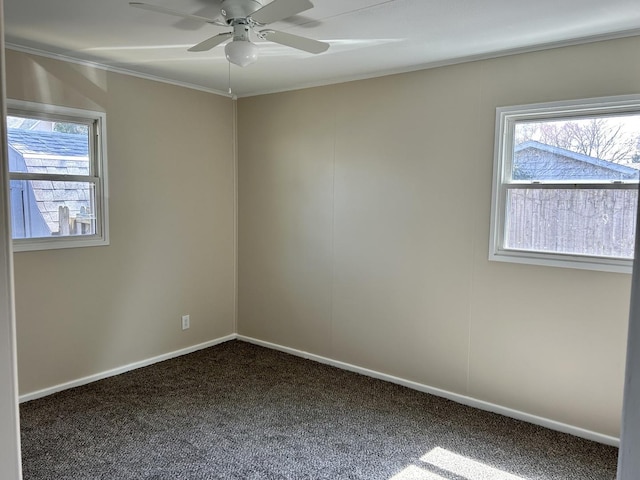 1407 Calhoun St, Peru, IL 61354 - unfurnished room with plenty of natural light, carpet flooring, ornamental molding, and ceiling fan
