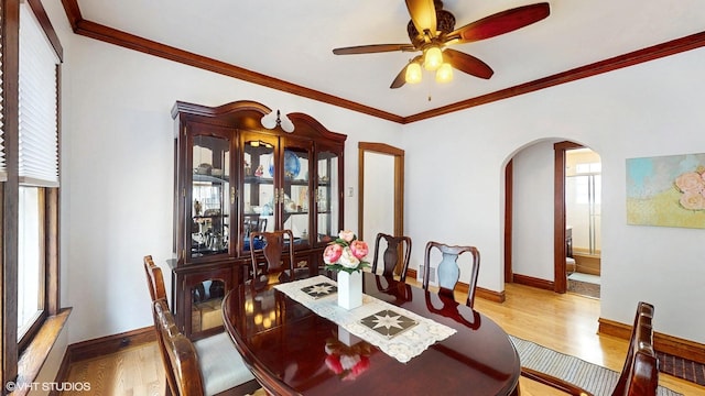 dining area with arched walkways, ceiling fan, wood finished floors, and ornamental molding