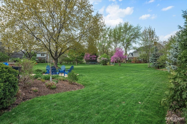1454 Rill Ct, Naperville, IL 60565 - view of yard