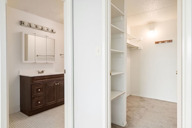 spacious closet with light colored carpet and a sink