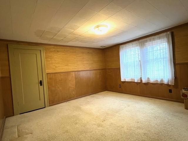 unfurnished room featuring carpet floors and wood walls