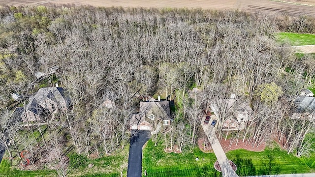 aerial view