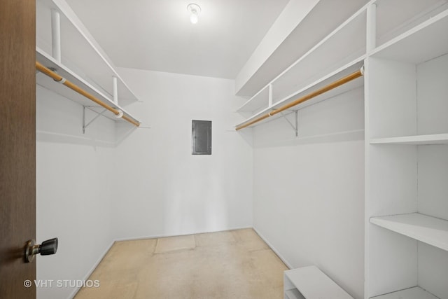 walk in closet featuring carpet and electric panel
