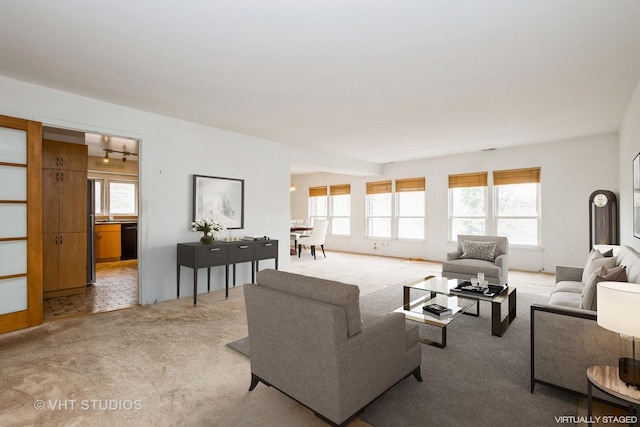 living room with carpet and a healthy amount of sunlight