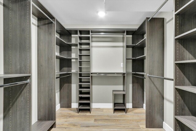 1801 Cindy Lynn St, Urbana, IL 61802 - spacious closet with wood finished floors