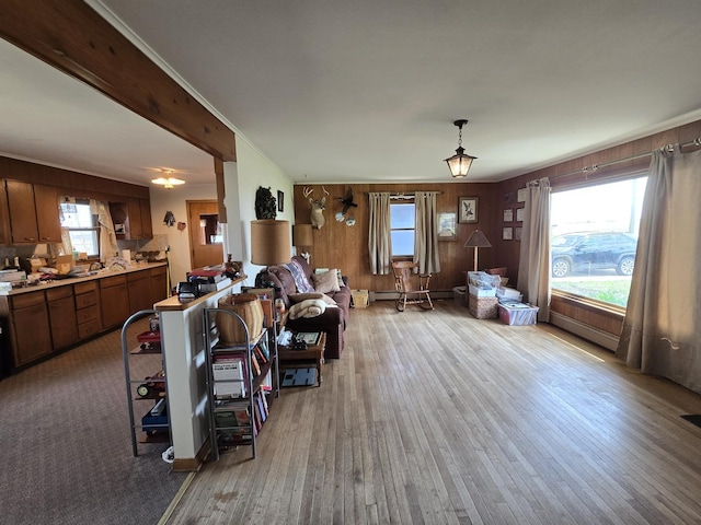 living area featuring wood walls, wood finished floors, a baseboard radiator, and a healthy amount of sunlight