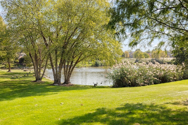87 Windmill Rd, Orland Park, IL 60467 - view of green lawn with a water view