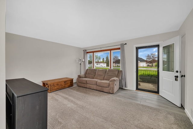 11007 W 167th St, Orland Park, IL 60467 - living room with wood finished floors