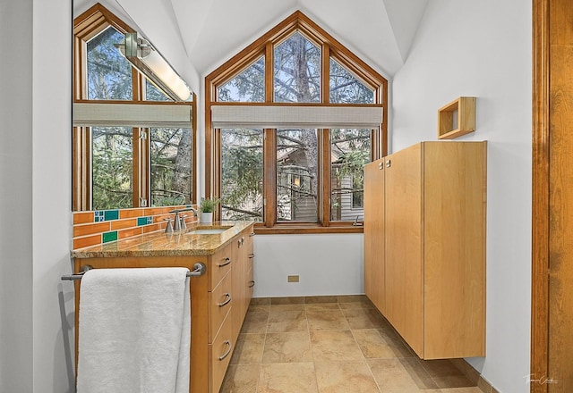 2111 Belleau Woods Ct, Wheaton, IL 60189 - entryway featuring a sink, lofted ceiling, and a wealth of natural light