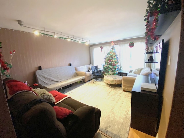 living area featuring rail lighting