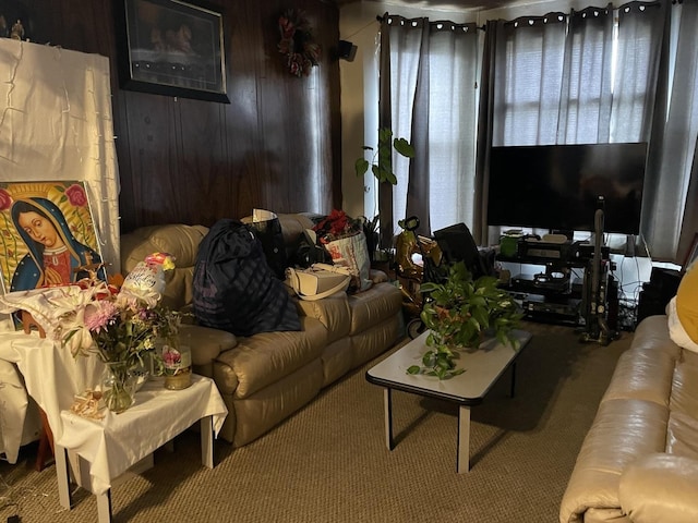 living area featuring carpet floors
