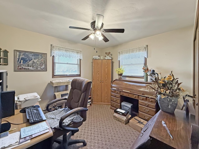 office area featuring ceiling fan and carpet flooring