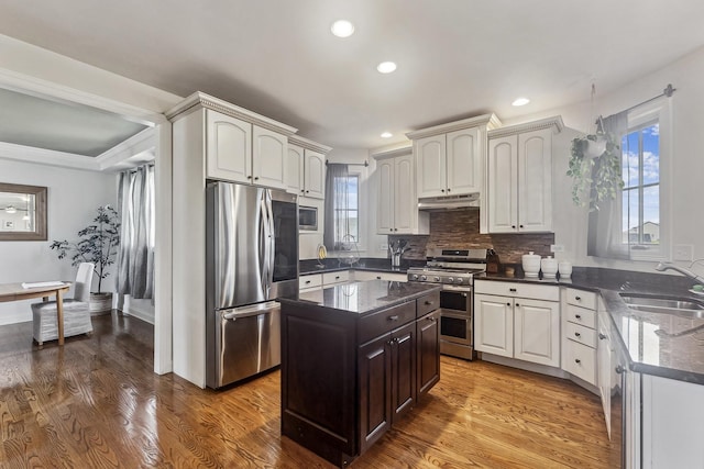 kitchen with wood finished floors, a sink, stainless steel appliances, under cabinet range hood, and recessed lighting