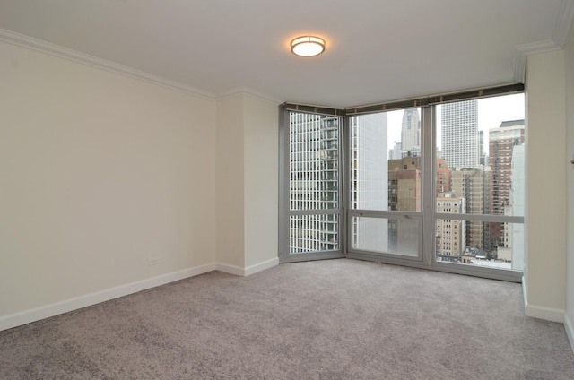 unfurnished room with carpet flooring, crown molding, and a wall of windows
