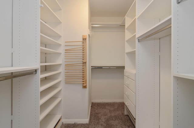 spacious closet with carpet floors