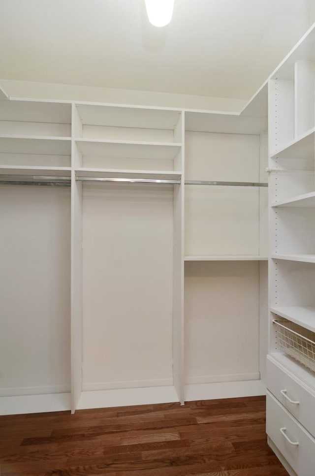 walk in closet with dark wood-style flooring