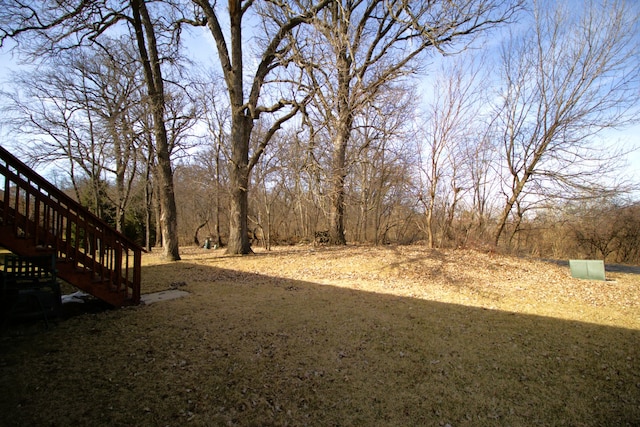 view of yard featuring stairs