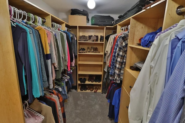 spacious closet featuring carpet flooring