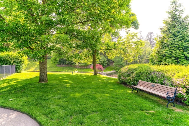 1330 Kurtis Ln, Lake Forest, IL 60045 - view of yard