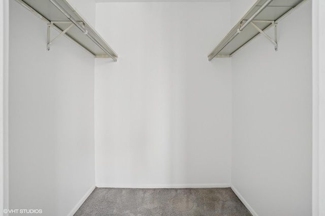 walk in closet featuring carpet flooring