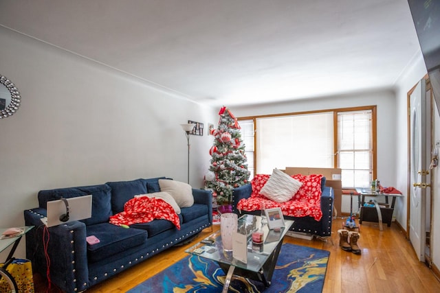 living area with wood finished floors