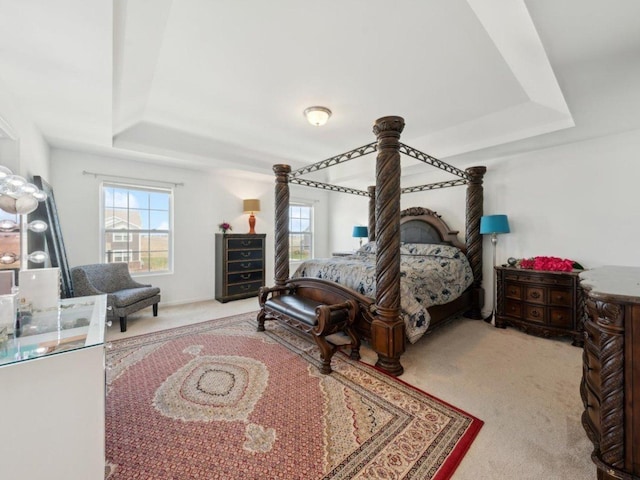 412 Towne Center Blvd, Shorewood, IL 60404 - bedroom featuring a raised ceiling and carpet floors