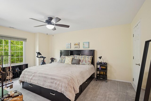 941 Yosemite Trl Unit C7, Roselle, IL 60172 - carpeted bedroom with baseboards and a ceiling fan
