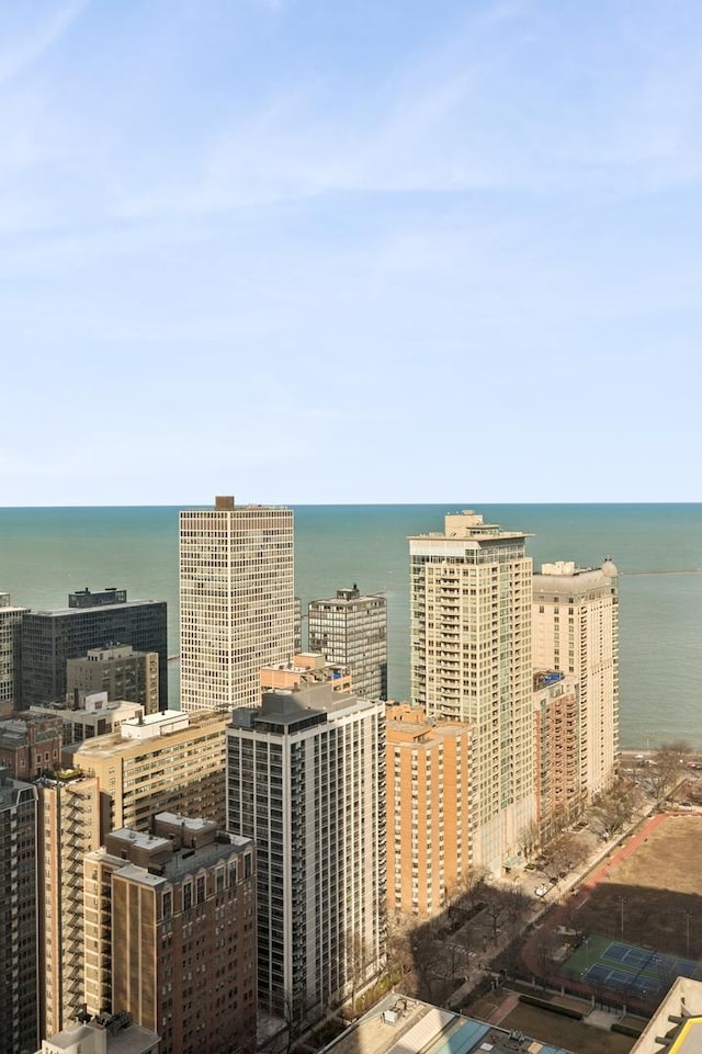 161 E Chicago Ave Unit 32A, Chicago, IL 60611 - property's view of city featuring a water view