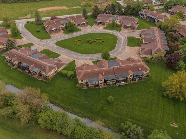 bird's eye view