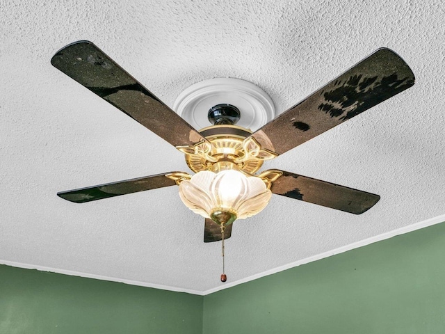 1045 Briarcliff Dr, Rantoul, IL 61866 - detailed view of a textured ceiling and ornamental molding