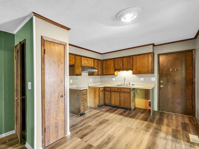 1045 Briarcliff Dr, Rantoul, IL 61866 - kitchen with brown cabinets, a sink, ornamental molding, wood finished floors, and under cabinet range hood