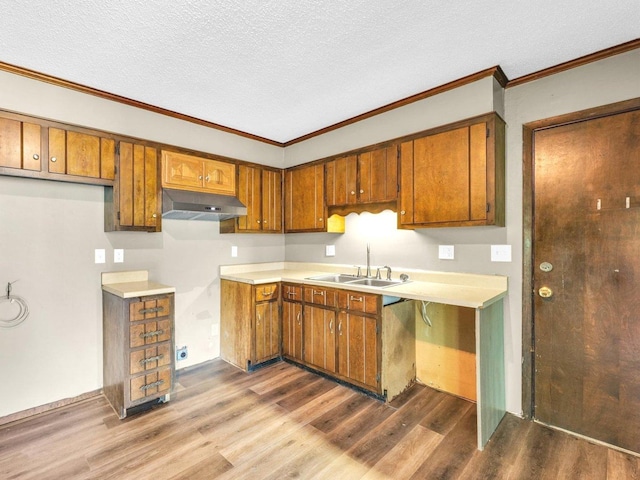 1045 Briarcliff Dr, Rantoul, IL 61866 - kitchen with a sink, range hood, dark wood finished floors, brown cabinets, and light countertops
