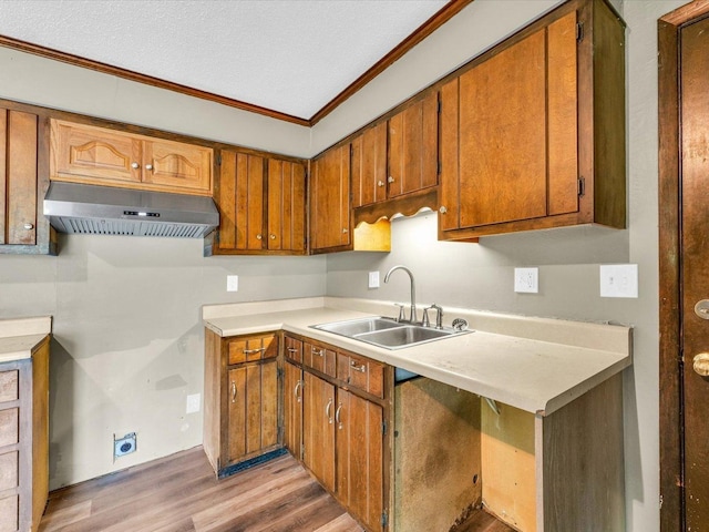 1045 Briarcliff Dr, Rantoul, IL 61866 - kitchen with exhaust hood, a sink, light wood finished floors, ornamental molding, and brown cabinets