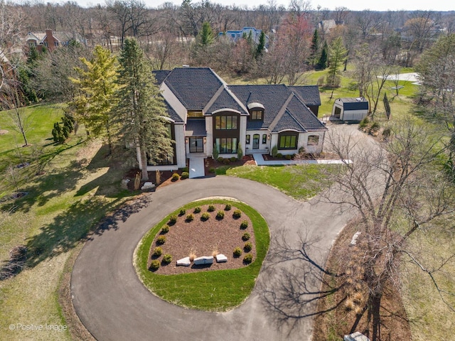 view of front of home featuring curved driveway