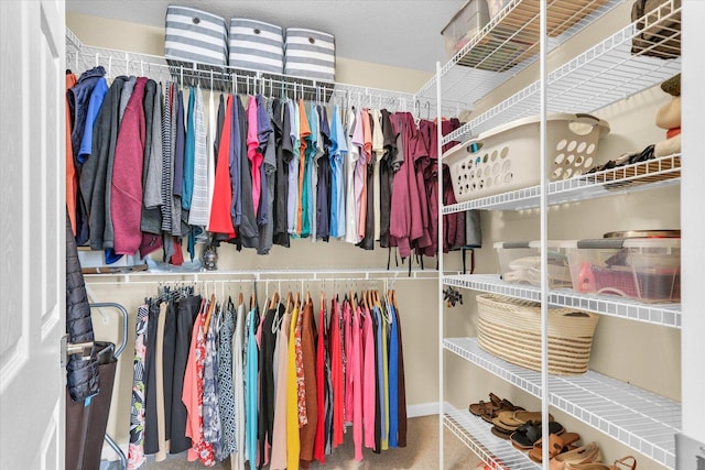 view of walk in closet