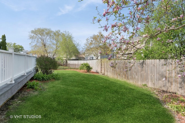 view of yard with a fenced backyard
