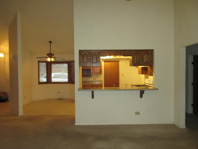 24541 S Wildwood Trl, Crete, IL 60417 - kitchen with stove, a high ceiling, carpet flooring, and a ceiling fan