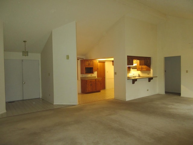 24541 S Wildwood Trl, Crete, IL 60417 - unfurnished living room with high vaulted ceiling