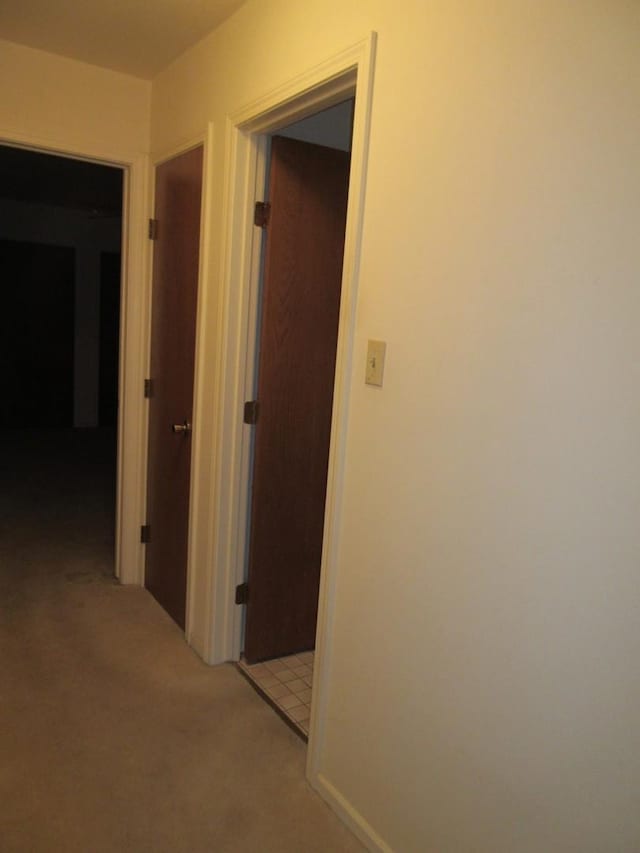 24541 S Wildwood Trl, Crete, IL 60417 - corridor featuring light colored carpet