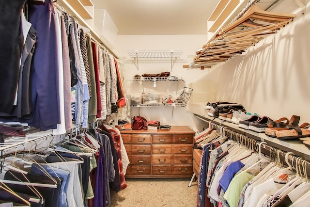 walk in closet featuring light carpet